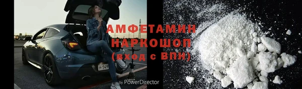прущие грибы Алзамай
