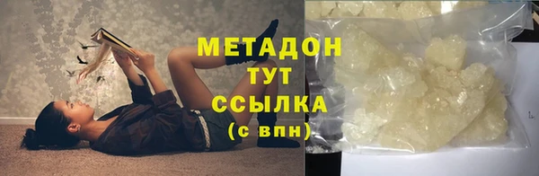 прущие грибы Алзамай