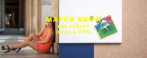 прущие грибы Алзамай