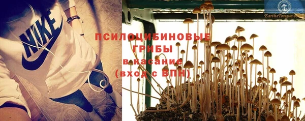 бошки Алексеевка