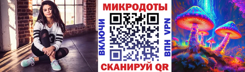 площадка какой сайт  Петрозаводск  Галлюциногенные грибы Psilocybe  как найти  